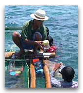 Collecte de poissons