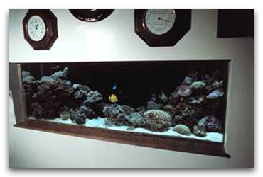 Aquarium encastré dans le mur