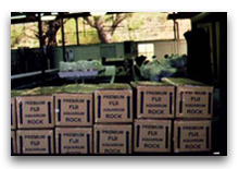 Carton poissons