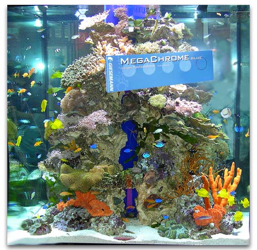 Aquarium Interzoo Tropic