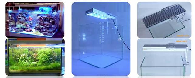 Rampe LED pour aquarium
