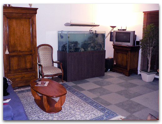 Aquarium de Sandrine et Ronan