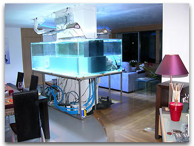 aquarium pendant sa construction