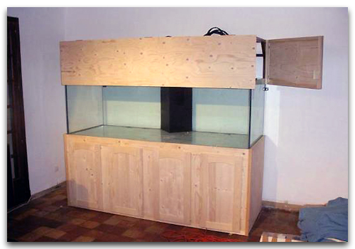 Un aquarium qui cache son jeux