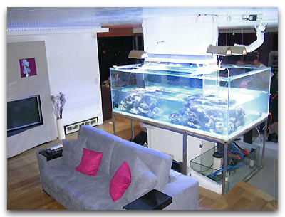 aquarium en cour de remplissage