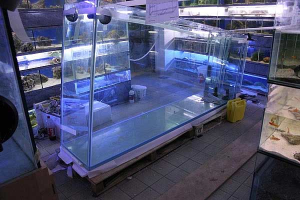 la cuve d'aquarium de Quick Silver