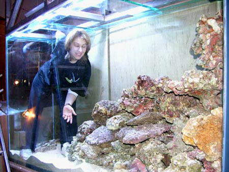 mise en place des roches vivantes aquarium