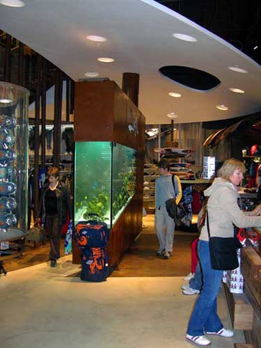 l'aquarium du magasin Quick Silver