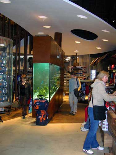 l'aquarium du magasin Quick Silver