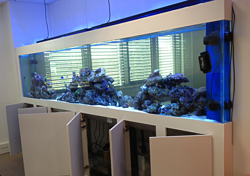 Aquarium société Linkbynet