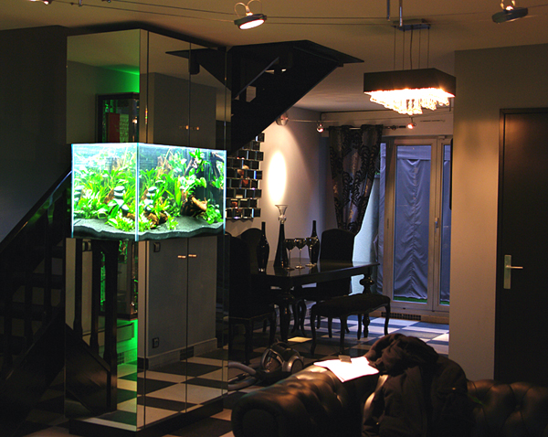 Aquarium d'eau douce habillage miroirs