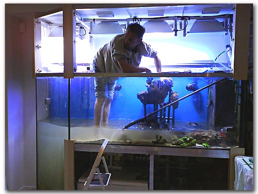 Pour entretenir un aquarium il ne faut pas avoir peur de se mouiller! Aquarium de 2 tonnes d'eau en récifal