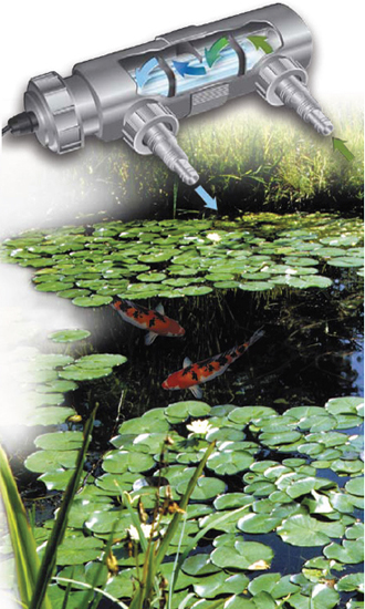 uv de bassin