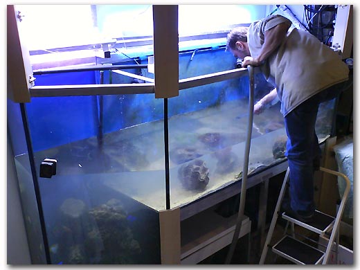 la maintenance d'aquariums profonds reste dificile