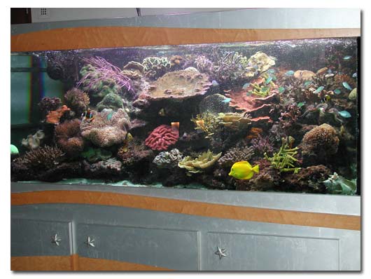 Aquarium vue d'ensemble