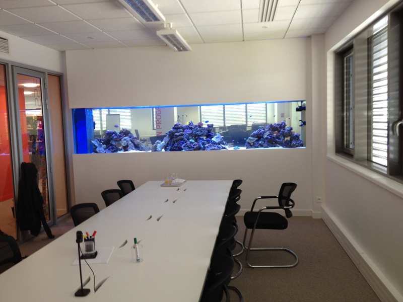 Aquarium en séparation de bureaux et salle de réunion.