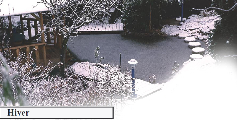 le bassin l'hiver