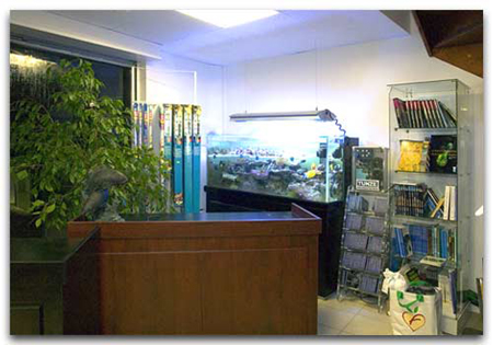 Meubles d'aquariums en présentation