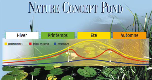 nature concept pond JBL