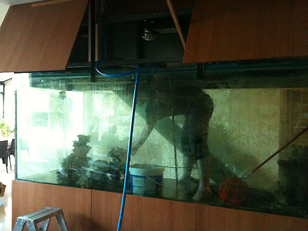 refection d'un aquarium de 3000 litres en récifal