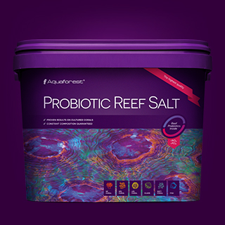 sel probiotique aquaforest