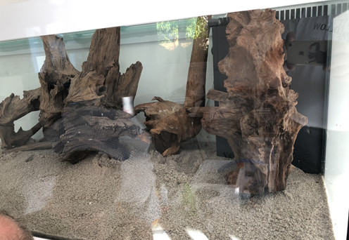 racine aquarium