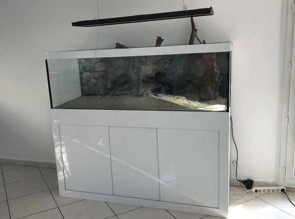 Aquarium eau douce