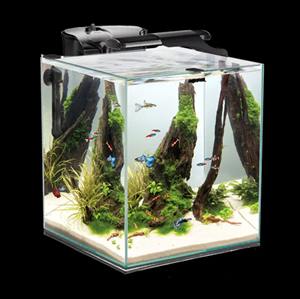 materiel aqurium Zolux 