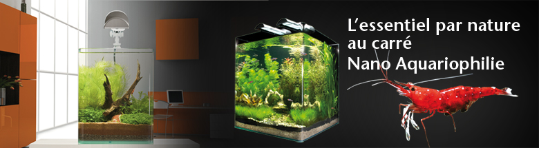 logo nano aquarium Dennerle