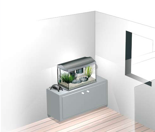 placer son aquarium dans l'appartement