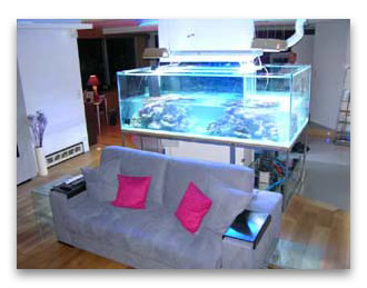 aquarium abri sous roche