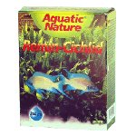 remin Cichlid