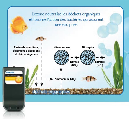 texte-purificateur ozone