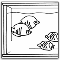 croquis détaillant