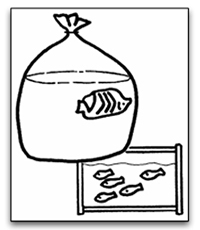 transport en sacs