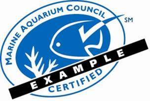 exemple logo certification