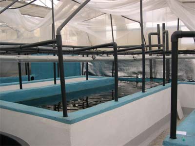 cuves beton