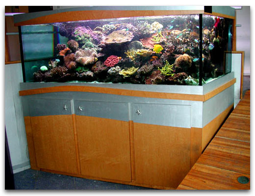 Aquarium société SONY