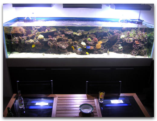 Un aquarium de plus de 3 métres de long