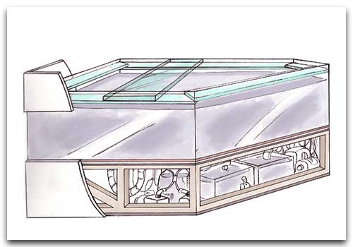 Détail des deux aquarium de l'entrée