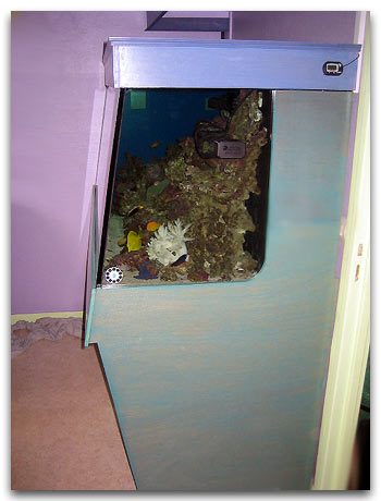 Ozez la couleur pour vos aquariums