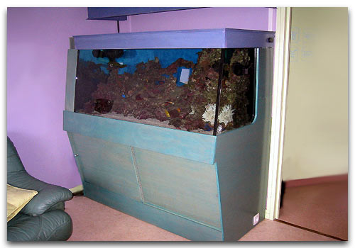 Un aquarium déco par Franck