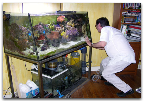 Les débuts de l'aquarium du Doc Georges