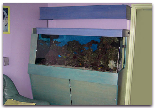 Avec un peu d'idée faire son meuble d'aquarium