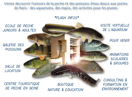 logo maison de la peche