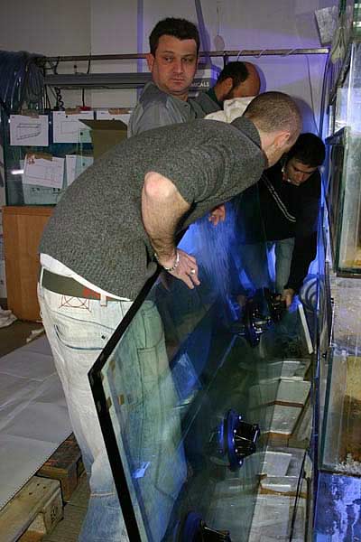 coté de l'aquarium
