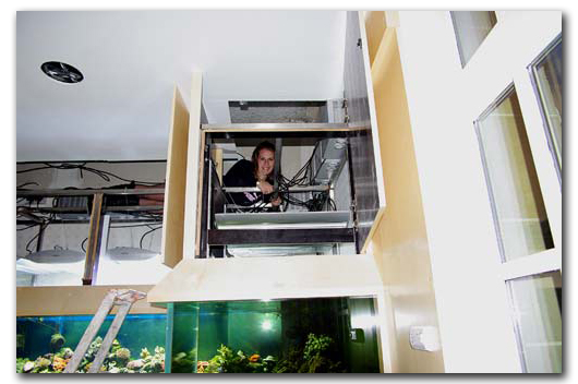 Toute l'équipe d'Abri sous roche aura été solicité dans la construction de cet aquarium