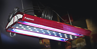 lampe mixte T5 led
