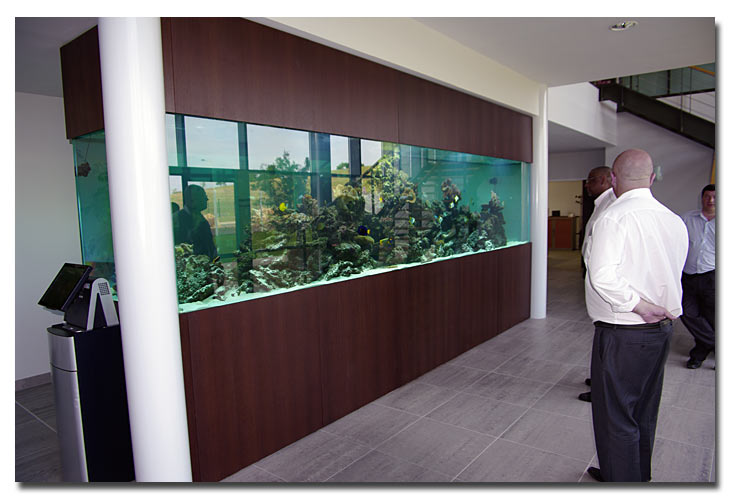 aquarium geant du groupe Solutys