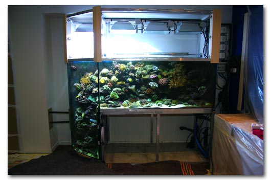 Le début du démontage de l'aquarium pret à fuir